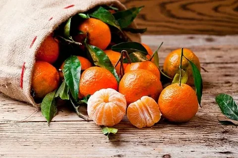 قیمت  کنسانتره نارنگی رامسر + خرید باور نکردنی